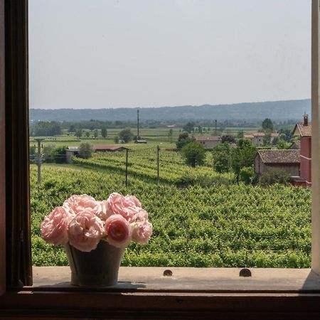 Villa Fiori&Vigne Di Cecilia Marcon à Farra di Soligo Extérieur photo