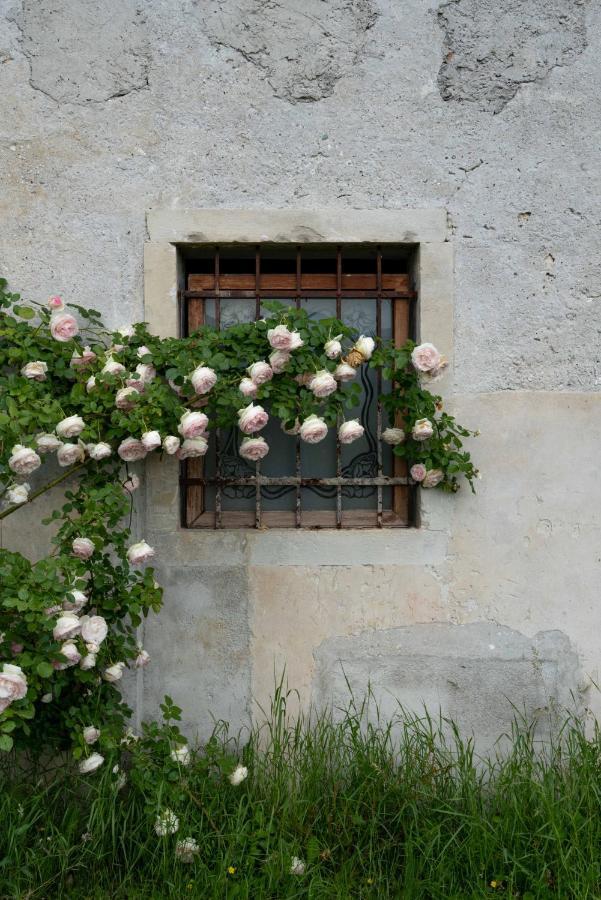 Villa Fiori&Vigne Di Cecilia Marcon à Farra di Soligo Extérieur photo