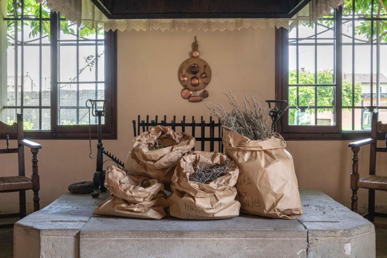 Villa Fiori&Vigne Di Cecilia Marcon à Farra di Soligo Extérieur photo