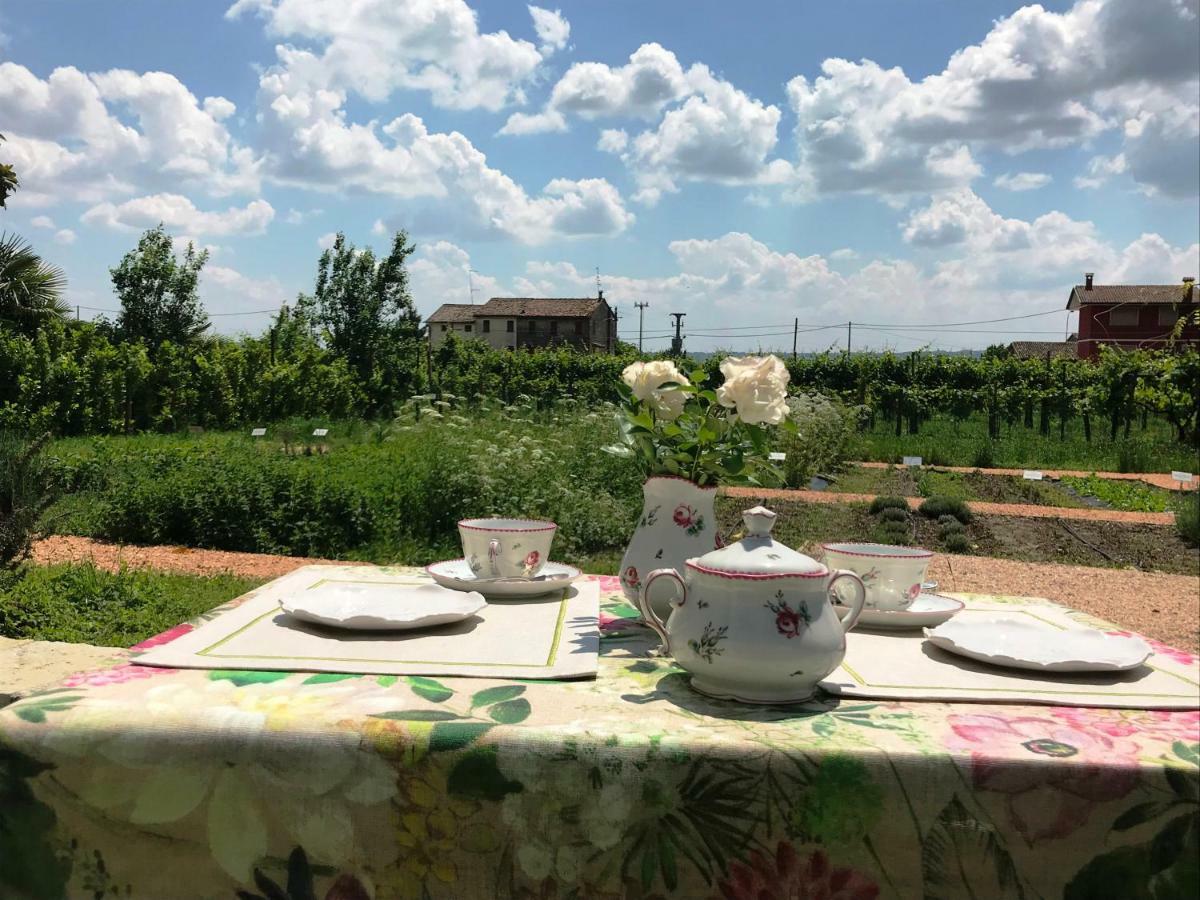 Villa Fiori&Vigne Di Cecilia Marcon à Farra di Soligo Extérieur photo